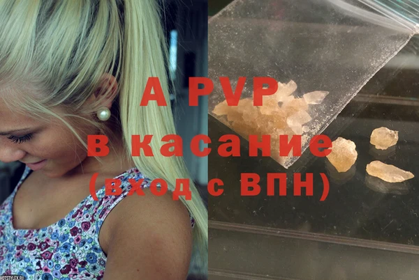 дмт Бородино