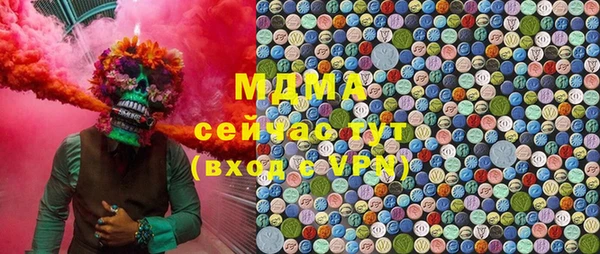 дмт Бородино