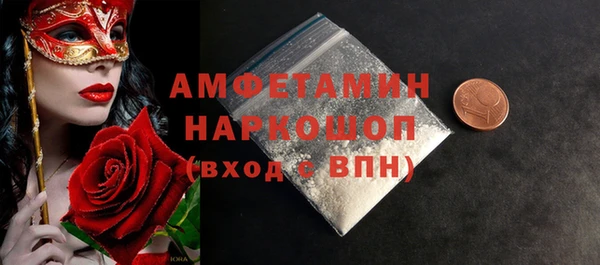 дмт Бородино